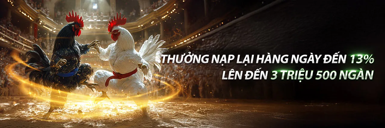 Đá gà trực tiếp ngày 26 tháng 09